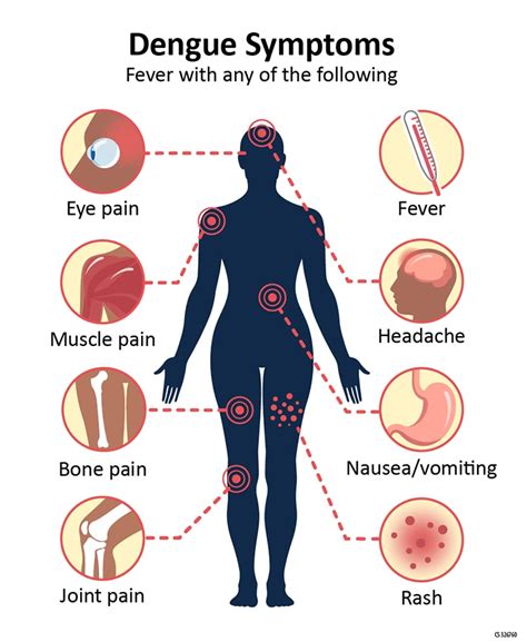 how long does dengue fever last